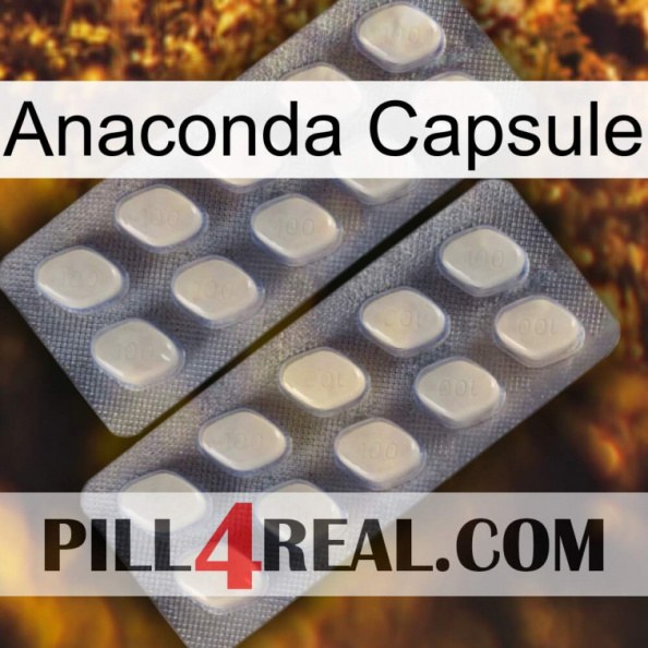 Anaconda Capsule 07.jpg